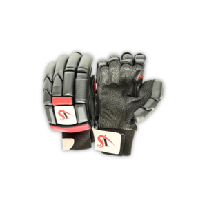 Cricket Batting Gloves (Black)